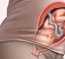 34 Tjedna trudnoće, šta se dešava? 34 nedelji trudnoće: težina deteta (normalno)