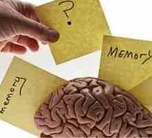 6 Zabavne načine za jačanje svoje pamćenje