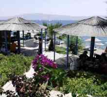 Acacias hotel 4 * (Bodrum, Turska) Fotografije, cijene i recenzije ruskog