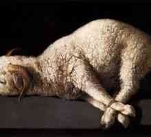 Lamb - žrtvu u ime humanosti