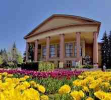 Akademske dramsko pozorište, Stavropol: povijest, repertoar i recenzije