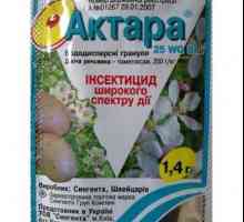 "Akhtar" (insekticid): Uputstvo za upotrebu i povratne informacije