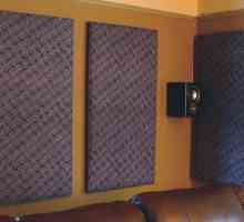 Akustičnih panela: Prednosti, mogućnosti i montaža aplikacije