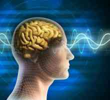 Alfa ritmove mozga: opis, karakteristike i funkcije