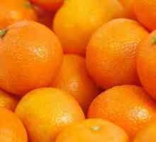 Alergičan na citrusa u odraslih i djece: uzroci, simptomi i tretman