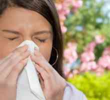 Alergije: Simptomi kod odraslih