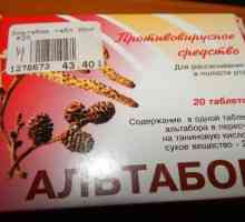 "Altabor": upute za korištenje tableta