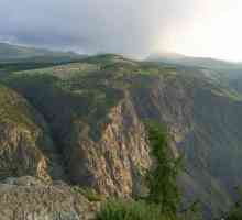 Altai Reserve - a vrhunac Altai Territory
