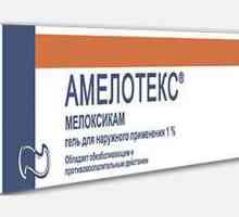 "Amelotex" (gel): uputstva za upotrebu