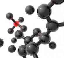 Amino kiseline u apoteci kao nutraceutika