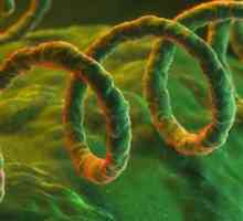 Test za sifilis i njegove moguće oličenje