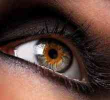 Angiopatija retine na oba oka - šta je to i kako tretirati?