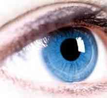Angiopatija mrežnjače oka. rizične skupine, vrste, liječenje