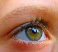 Angiopatija mrežnjače oka: uzroci, simptomi i metode tretiranja