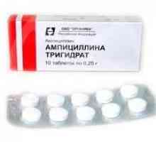 Antibakterijski "ampicilin hidrat": uputstva za upotrebu