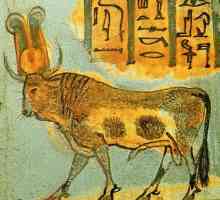 Apis - sveti bik Egipta