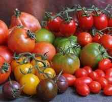 Ukusan paradajz: prednosti i štete od "zlatne jabuke"
