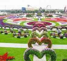Arapskog svijeta čudo: cvijet park u Dubaiju