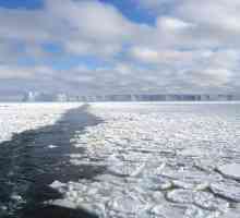 Arktičkim morima pranje Rusija