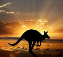 Australija, zanimljivosti - najviša planina, najveća rijeka i najopasnija životinja u Australiji