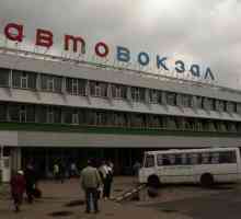 Autobusni kolodvor "Shchelkovo" - jedini autobuske stanice u Moskvi