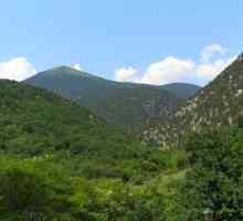 Baždar dolinu. Najveći prirodni rezervat u Krim