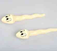 Sperma bakposev: indikacije, priprema, dostava, dekodiranje