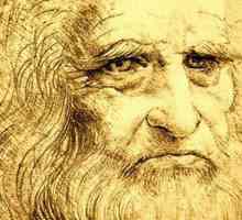 Fables Leonarda da Vinčija. Šta je bajka koju je napisao Leonardo da Vinci?