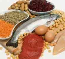 Protein hranu - to je ono što kategoriji proizvoda? Njegova koristi i štete