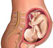 Trudnoća 28 sedmica - je koliko mjeseci? Feeling razvoj fetusa u 28 tjedna