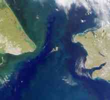 Bering Strait koridor u Novi svijet