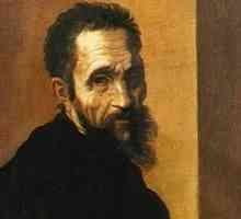 Biografija Michelangelo, velikog umetnika renesanse