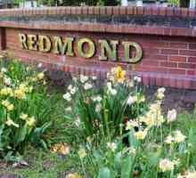 Blender "Redmond": recenzije. Karakteristike, cijene, fotografije