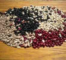 Beans: korist i štetu. boranija