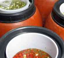 Drum paradajz: recept slane grickalice