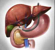 Bolesti jetre i pankreasa: simptomi, liječenje