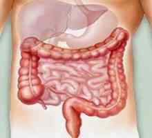 Crijevnih bol u donjem abdomenu: simptomi i uzroci. Dijeta za bol u području crijeva