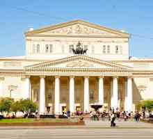 Bolnica Mariinsky (St.Petersburg): adresa, fotografije i svjedočanstva pacijenata