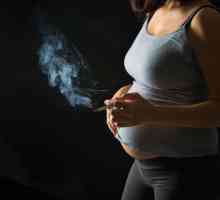 Bronhitis tokom trudnoće kako tretirati?