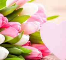Buketima tulipani 8. marta - savršen poklon za ženu