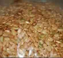 Boraks riža - zdrava žitarica na našem stolu