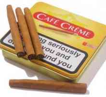 Cafe Creme (cigarilose) - broj 1 brend u svijetu