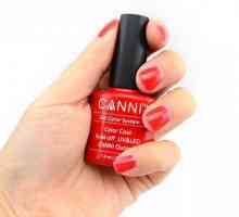 Canni (gel za nokte): recenzije, opisi, prednosti