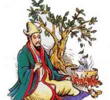 Tea "Kudin" i njegova svojstva