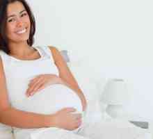 Ono što ugrožava niske placentacije na 20 tjedna trudnoće, šta da radim?