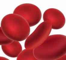 Šta i kako da brzo povećati hemoglobina u kući