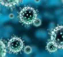 Opasna enterovirus infekcije kod odraslih?