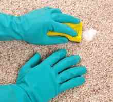 Kako čistiti tepih kod kuće? Glavnih načina