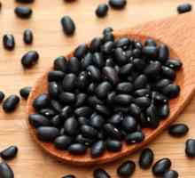 Crni pasulj: prednosti, recepti, kuhanje tajne