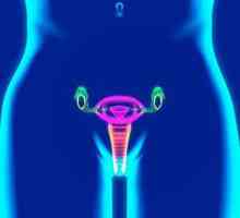 Izgreban klitoris: uzroci, liječenje i prevenciju bolesti